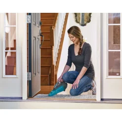 dustbuster® AdvancedClean™ Wet/Dry Cordless Hand Vacuum with Extra Filter