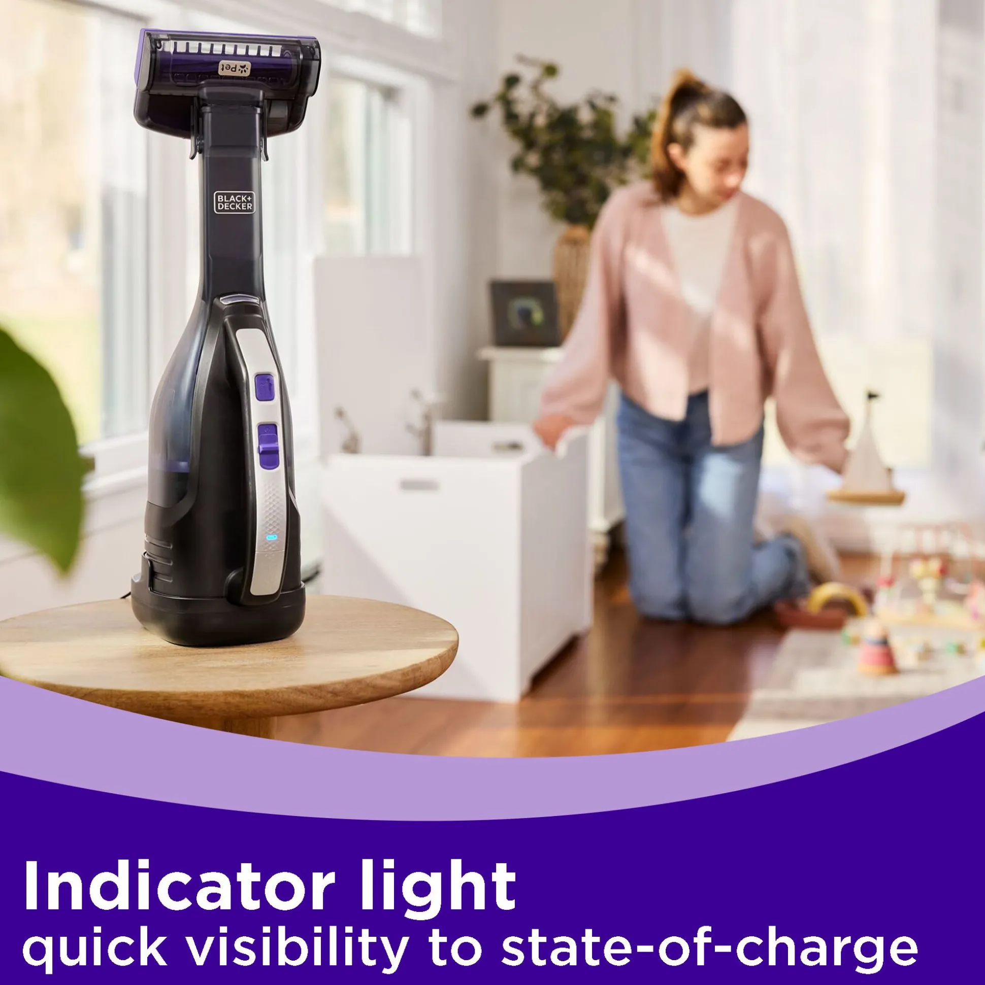 dustbuster® reveal™ Cordless Handheld Vacuum, Pet, with Replacement Filter