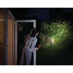 3 Watt Led Alkaline Spotlight